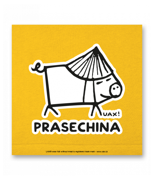 OBRAZ DO INTERIÉRU 110x110cm