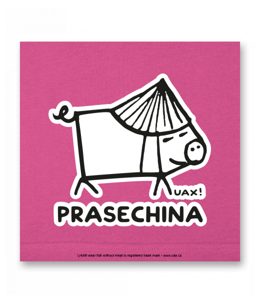 OBRAZ DO INTERIÉRU 110x110cm