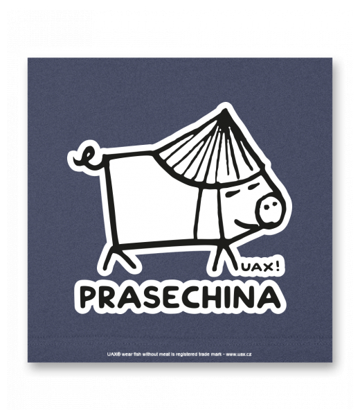 OBRAZ DO INTERIÉRU 110x110cm