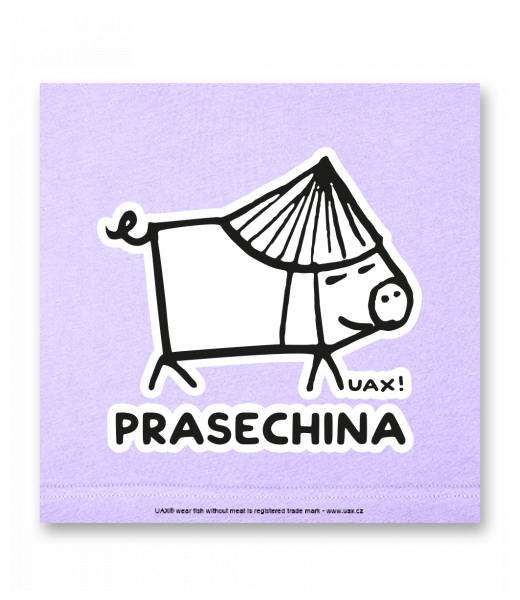 OBRAZ DO INTERIÉRU 110x110cm