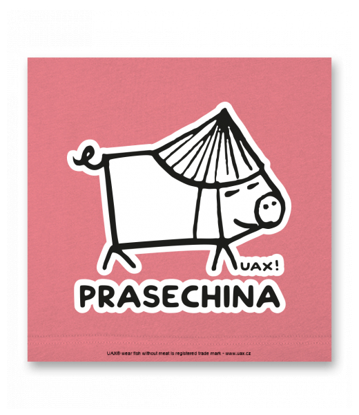 OBRAZ DO INTERIÉRU 110x110cm