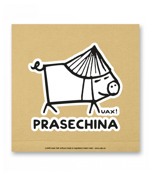 OBRAZ DO INTERIÉRU 110x110cm