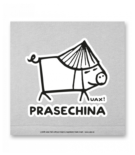 OBRAZ DO INTERIÉRU 110x110cm