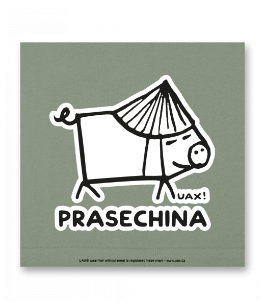 OBRAZ DO INTERIÉRU 110x110cm