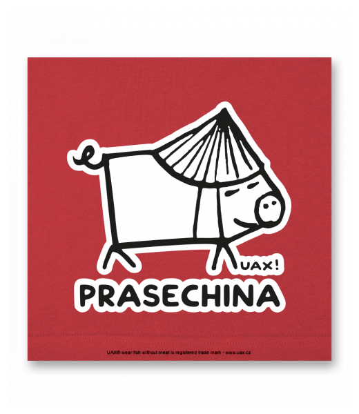 OBRAZ DO INTERIÉRU 110x110cm