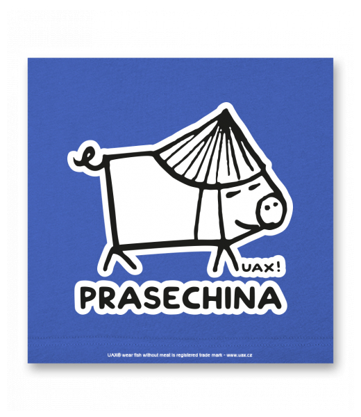 OBRAZ DO INTERIÉRU 110x110cm