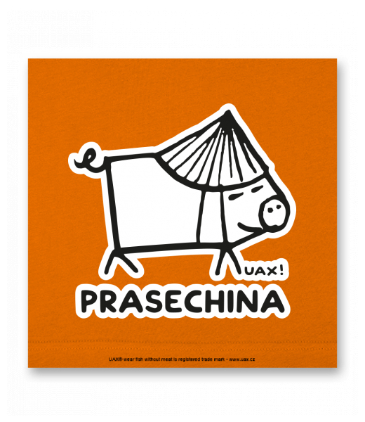 OBRAZ DO INTERIÉRU 110x110cm