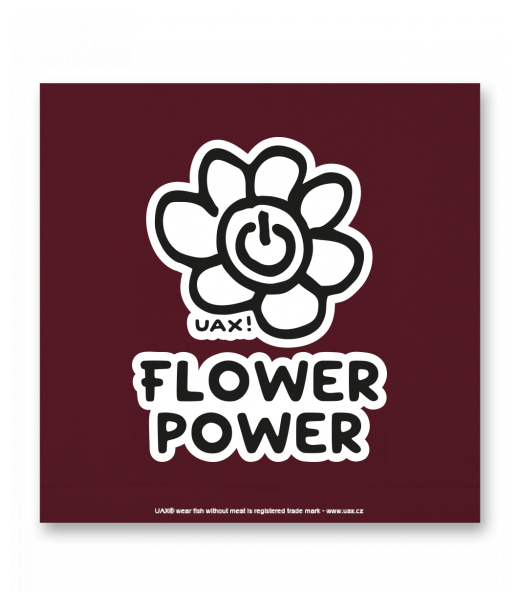 OBRAZ DO INTERIÉRU 110x110cm