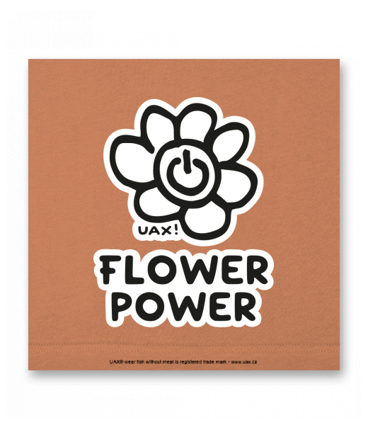 OBRAZ DO INTERIÉRU 110x110cm