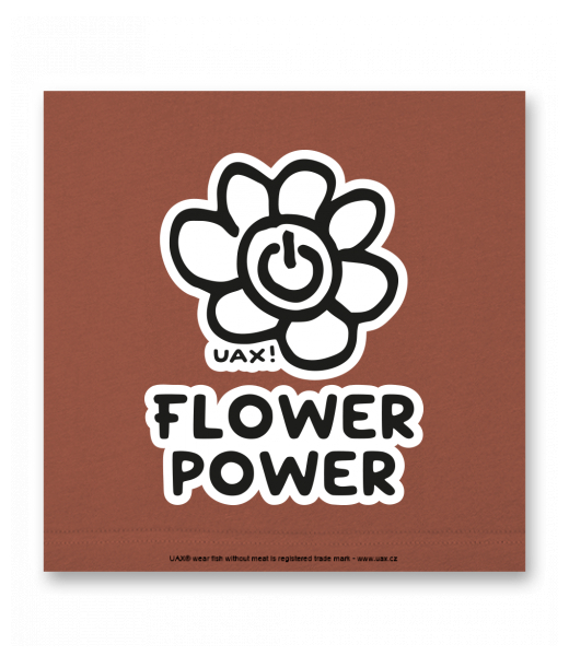 OBRAZ DO INTERIÉRU 110x110cm