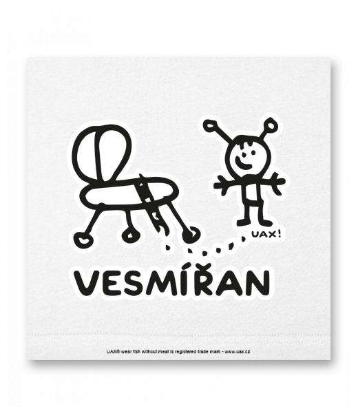 OBRAZ DO INTERIÉRU 110x110cm