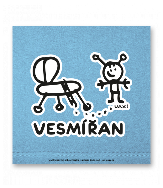 OBRAZ DO INTERIÉRU 110x110cm