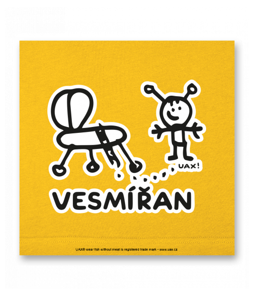 OBRAZ DO INTERIÉRU 110x110cm