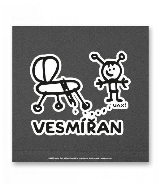 OBRAZ DO INTERIÉRU 110x110cm