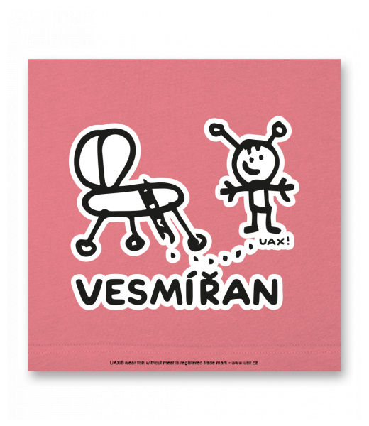 OBRAZ DO INTERIÉRU 110x110cm