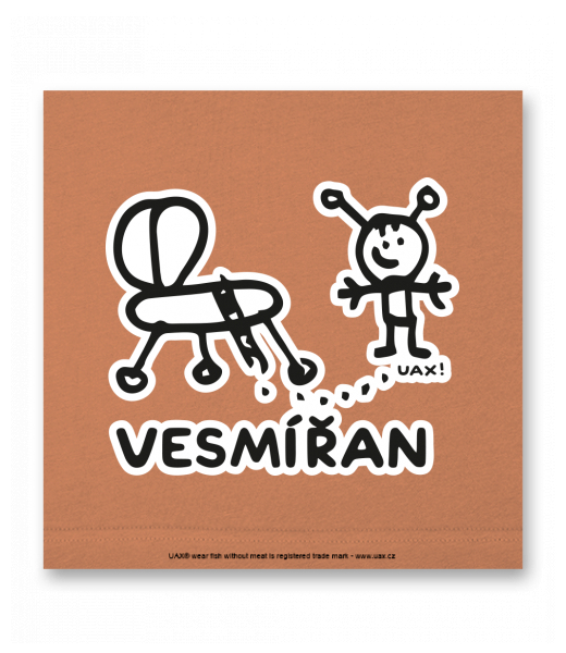 OBRAZ DO INTERIÉRU 110x110cm