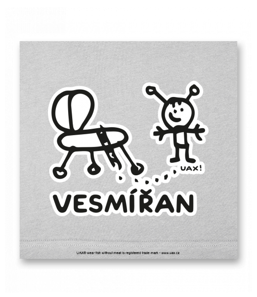 OBRAZ DO INTERIÉRU 110x110cm