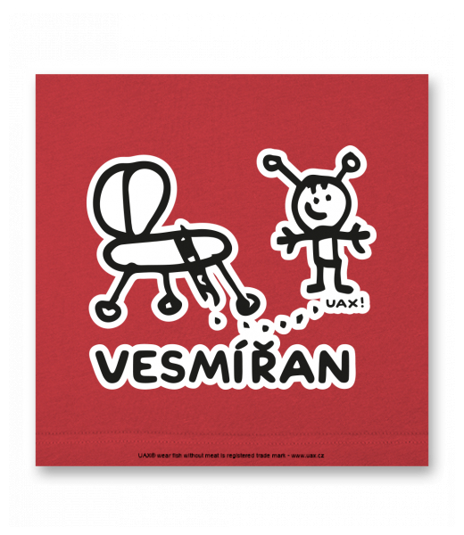 OBRAZ DO INTERIÉRU 110x110cm