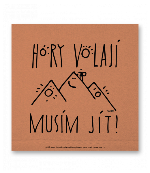 OBRAZ DO INTERIÉRU 110x110cm