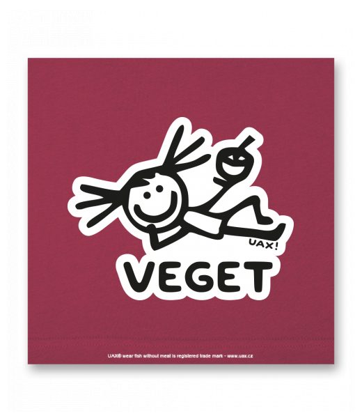 OBRAZ DO INTERIÉRU 110x110cm