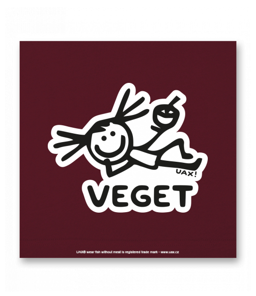 OBRAZ DO INTERIÉRU 110x110cm