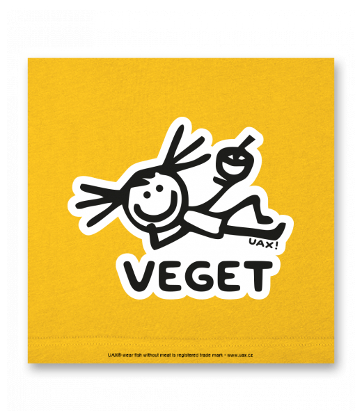 OBRAZ DO INTERIÉRU 110x110cm