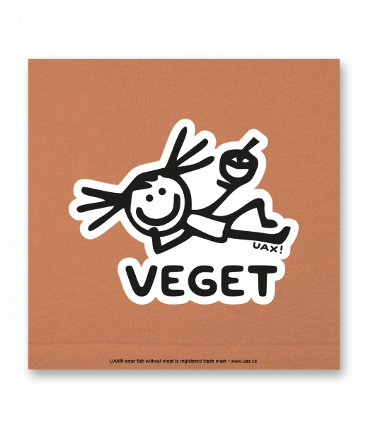 OBRAZ DO INTERIÉRU 110x110cm