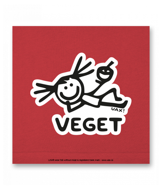 OBRAZ DO INTERIÉRU 110x110cm