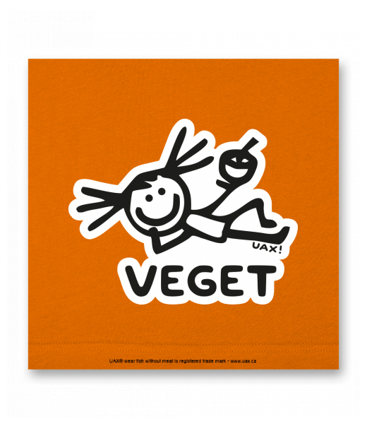 OBRAZ DO INTERIÉRU 110x110cm