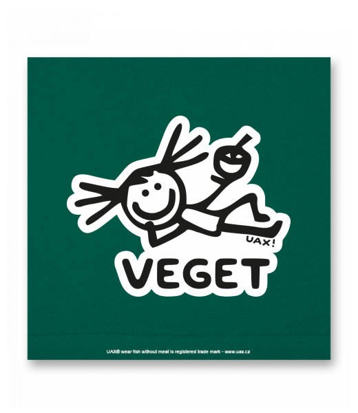 OBRAZ DO INTERIÉRU 110x110cm