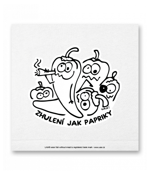 OBRAZ DO INTERIÉRU 110x110cm