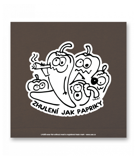 OBRAZ DO INTERIÉRU 110x110cm