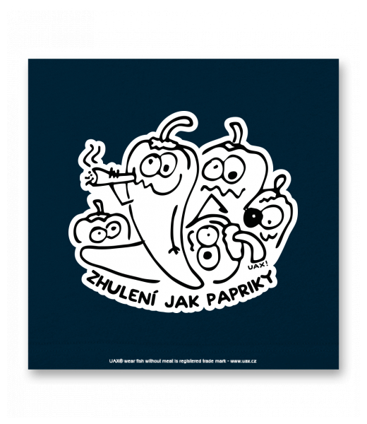 OBRAZ DO INTERIÉRU 110x110cm