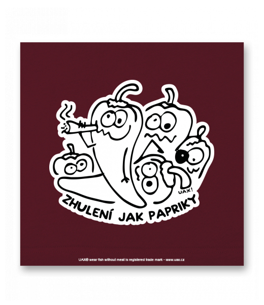 OBRAZ DO INTERIÉRU 110x110cm