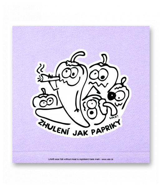 OBRAZ DO INTERIÉRU 110x110cm