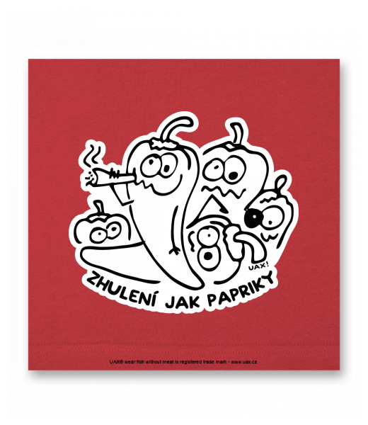 OBRAZ DO INTERIÉRU 110x110cm