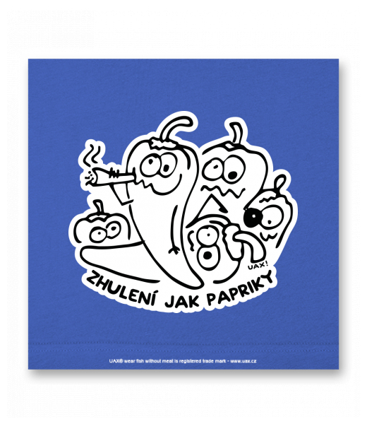 OBRAZ DO INTERIÉRU 110x110cm