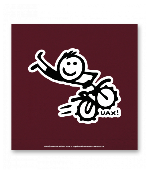 OBRAZ DO INTERIÉRU 110x110cm