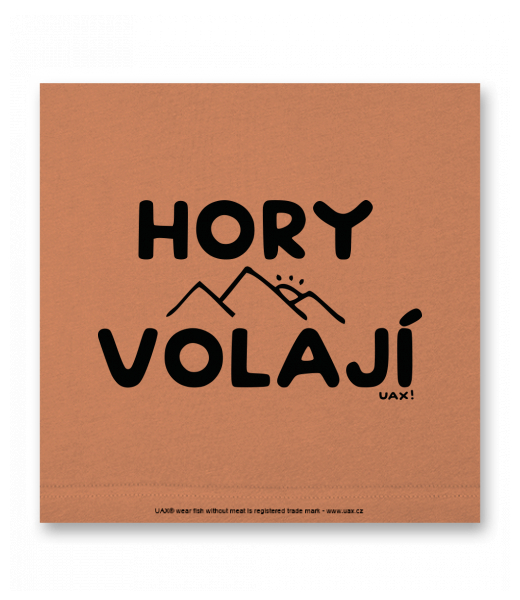 OBRAZ DO INTERIÉRU 110x110cm