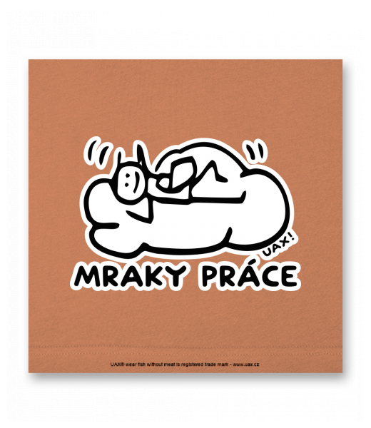 OBRAZ DO INTERIÉRU 110x110cm