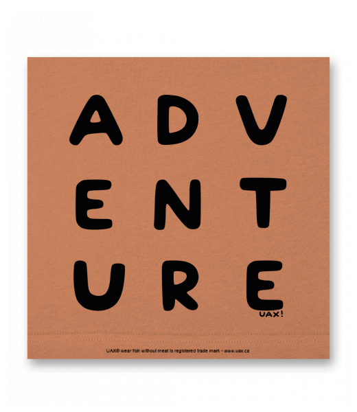 OBRAZ DO INTERIÉRU 110x110cm