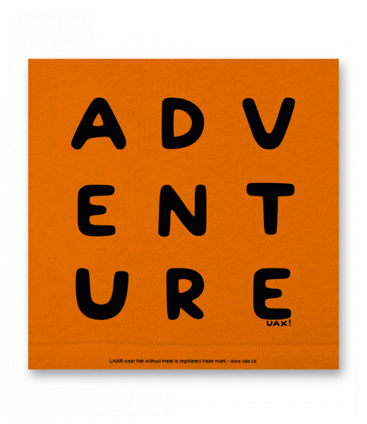 OBRAZ DO INTERIÉRU 110x110cm