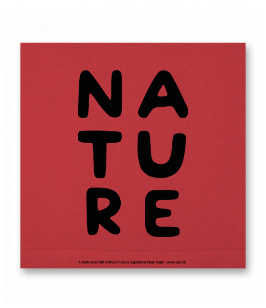 OBRAZ DO INTERIÉRU 110x110cm