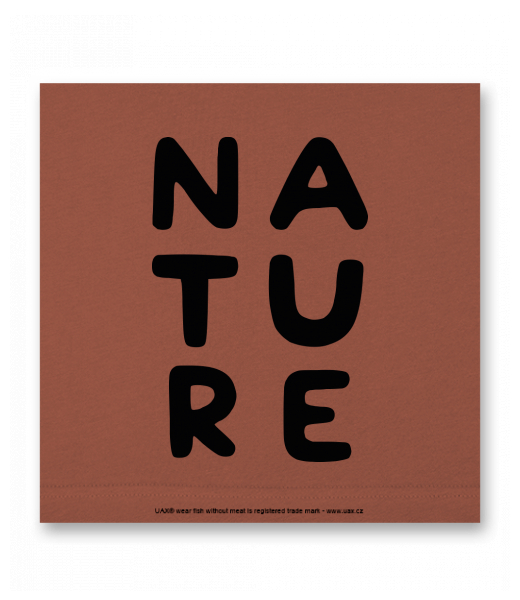 OBRAZ DO INTERIÉRU 110x110cm