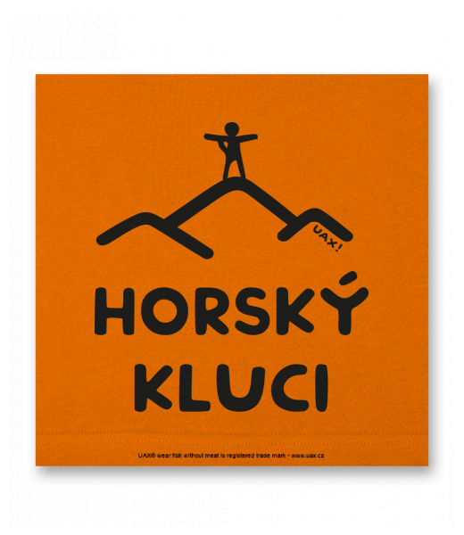 OBRAZ DO INTERIÉRU 110x110cm