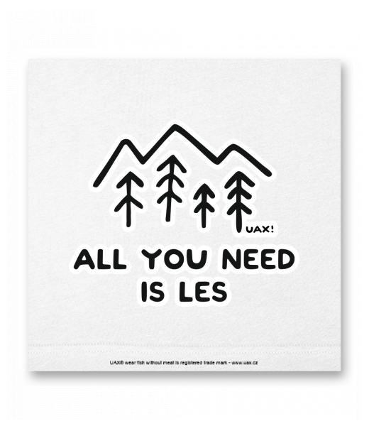 OBRAZ DO INTERIÉRU 110x110cm