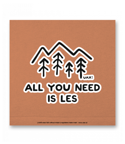 OBRAZ DO INTERIÉRU 110x110cm