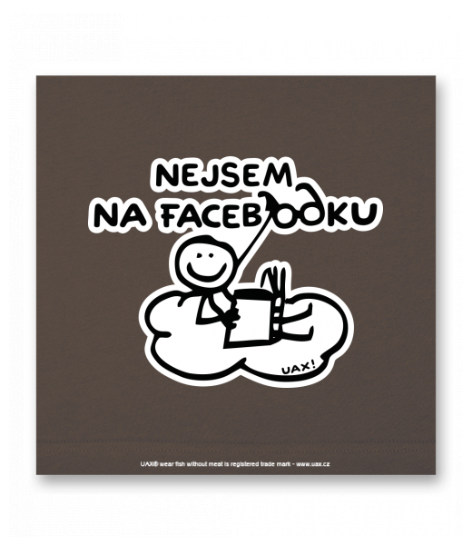 OBRAZ DO INTERIÉRU 110x110cm