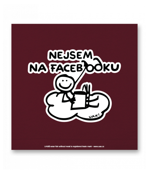 OBRAZ DO INTERIÉRU 110x110cm