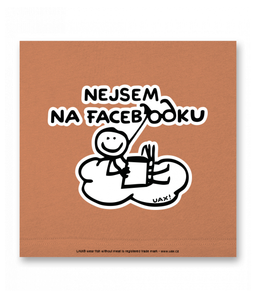 OBRAZ DO INTERIÉRU 110x110cm